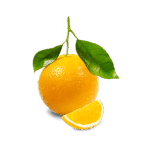 Bitter Orange
